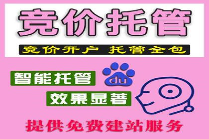 推广竞价策略优化：借鉴经典案例提升效果